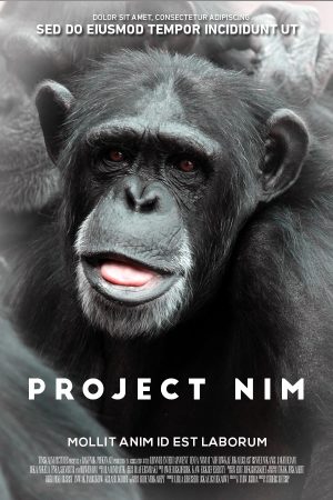 42-nim-project-300x450